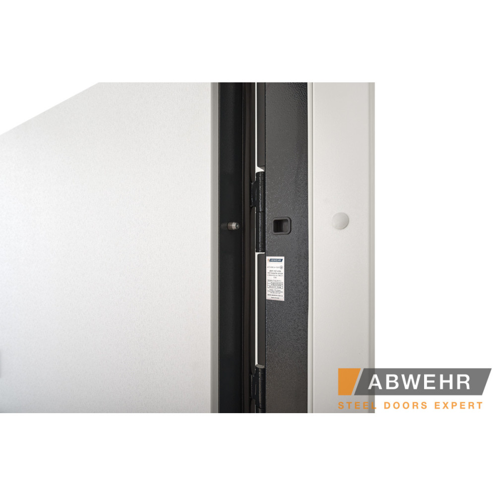 Входные двери Abwehr 498 Scandi RAL 7021 (Сегмент Bionica)