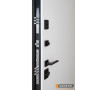 Входные двери Abwehr 498 Scandi RAL 7021 (Сегмент Bionica)