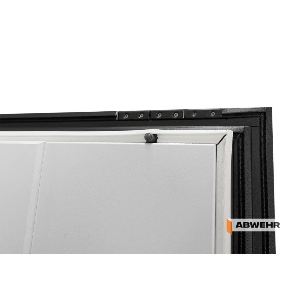 Входные двери Abwehr Carat 536 Termix